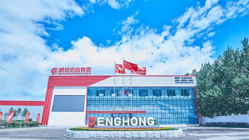 NG电子游戏“定制家”升级“梦想家”