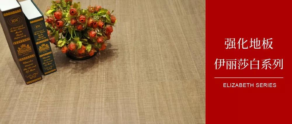 NG电子游戏地板伊丽莎白系列