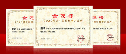 连任金榜丨NG电子游戏斩获中国板材十大品牌三项殊荣