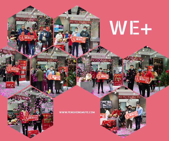 突破百单，，，，NG电子游戏We+定制家居夺魁沈阳家博会