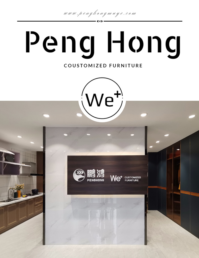 NG电子游戏We+定制家居进驻佳木斯，，，，全城征集样板间