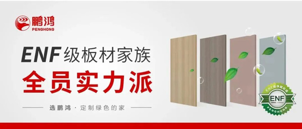 NG电子游戏ENF级板材家族实力派集结