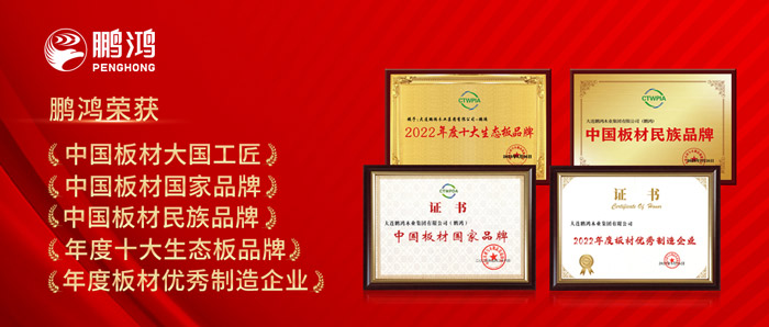 中国板材与定制家居大会，，，NG电子游戏揽获5项声誉