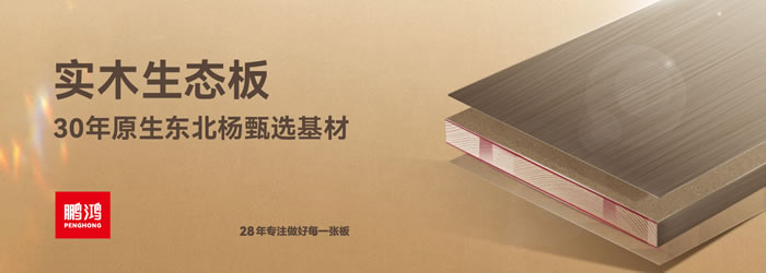 NG电子游戏生态板