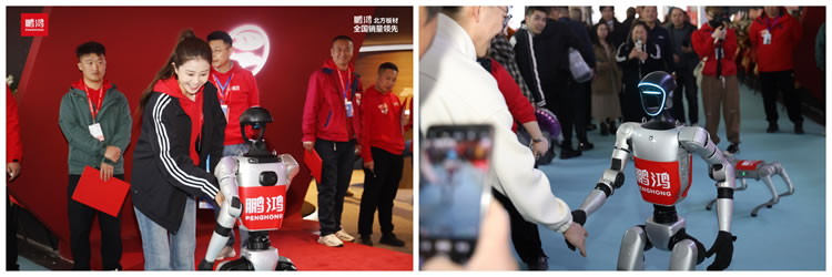 NG电子游戏·(中国区)官方网站