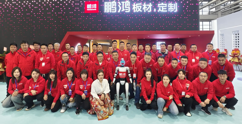 NG电子游戏沈阳家博会载誉收官，，，，，万千瞩目誊写传奇